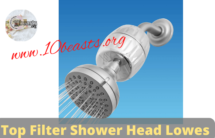 Top Filter Shower Head Lowes