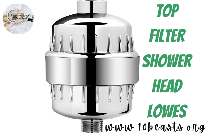 Filter Shower Head Lowes