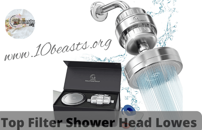 Filter Shower Head Lowes