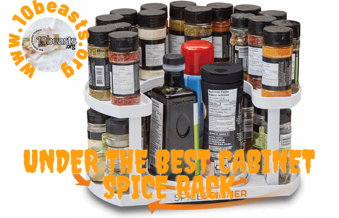 Under the Best Cabinet Spice Rack