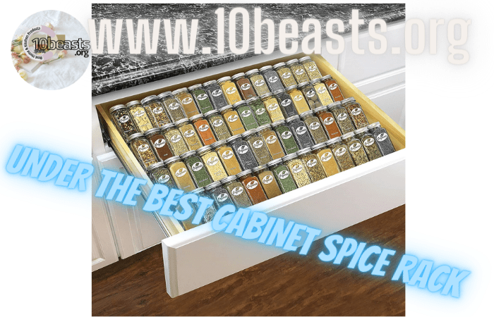 Lynk Professional Expandable Spice Rack Tray