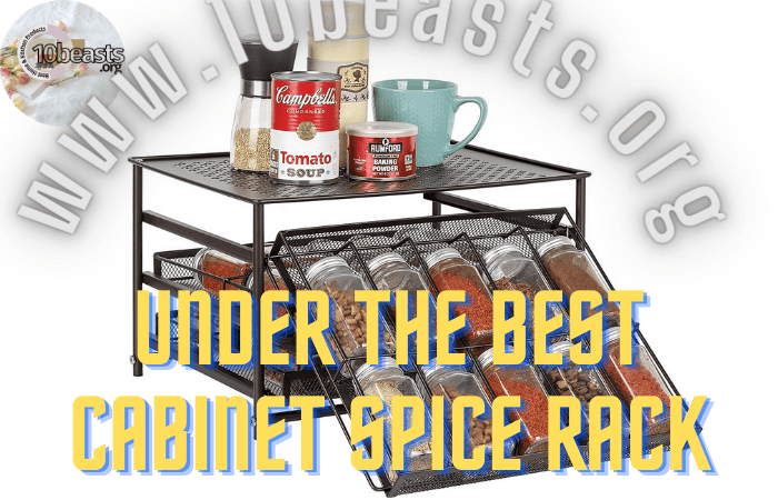 Under the Best Cabinet Spice Rack