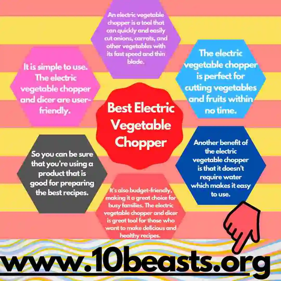 Best Electric Vegetable Chopper