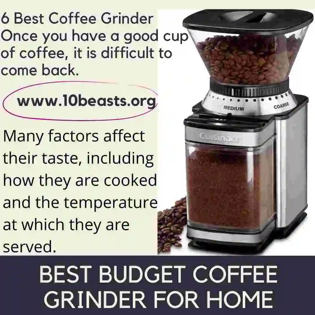 best budget coffee Grinder For Home