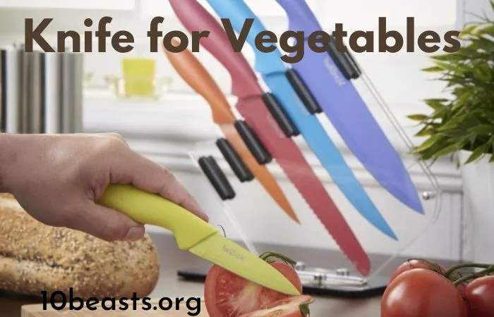 Best Knife for Vegetable